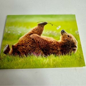 8 Avanti Greeting cards - Bear with flower
Holiday: Valentine’s Day